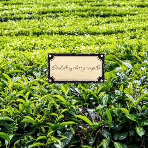 Earl Grey cherry Acapella