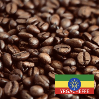 Ethiopie Yrgatcheffe